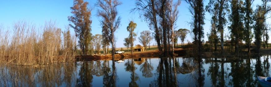 Bernallys Fishing Lodge, well stocked dams - Magaliesburg